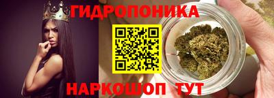 дмт Волжск
