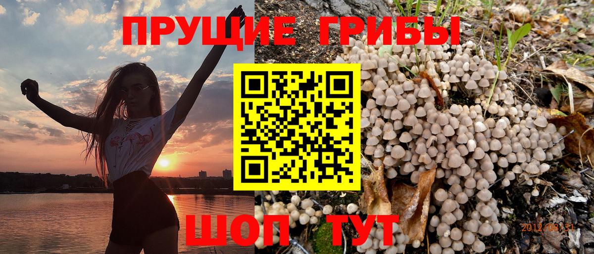 Десногорск  Галлюциногенные грибы Psilocybe  Вход с VPN  Псилоцибиновые грибы GOLDEN TEACHER 